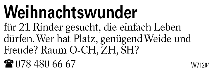 Weihnachtswunder