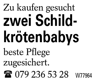 zwei Schild-krötenbabys