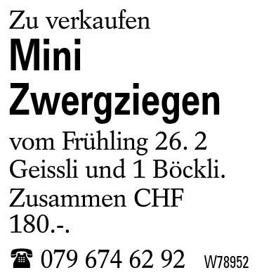 Mini Zwergziegen