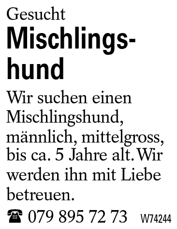 Mischlingshund