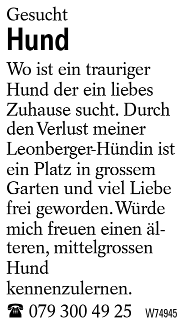 Hund