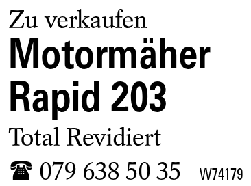 Motormäher Rapid 203