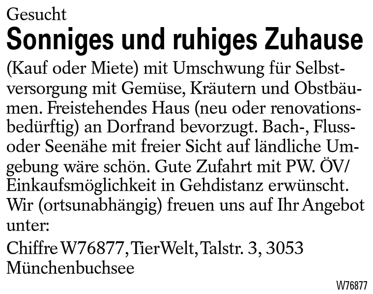 Sonniges und ruhiges Zuhause