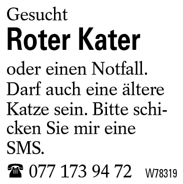 Roter Kater