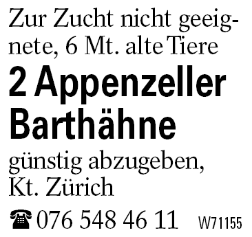 2 Appenzeller Barthähne