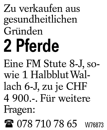 2 Pferde