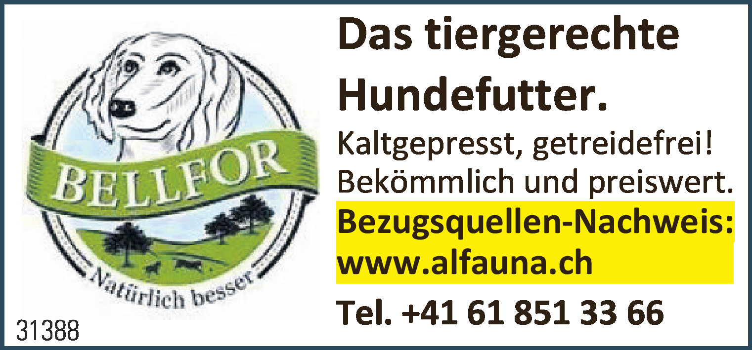 Bellfor/Hundefutter