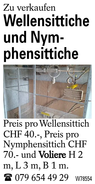 Wellensittiche und Nym-phensittiche