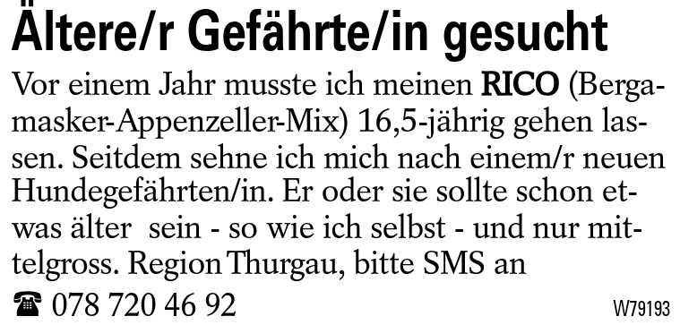 Ältere/r Gefährte/in gesucht