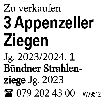 3 Appenzeller Ziegen