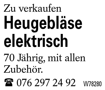 Heugebläse elektrisch