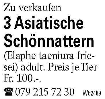 3 Asiatische Schönnattern