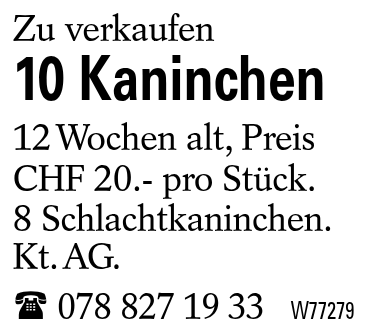 10 Kaninchen
