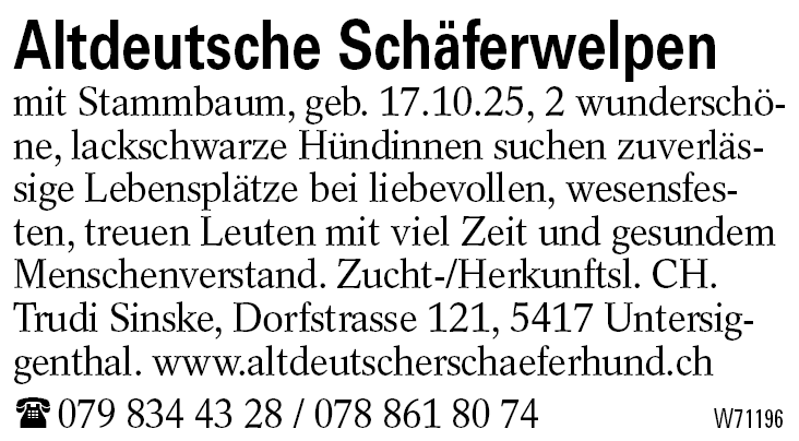 Altdeutsche Schäferwelpen