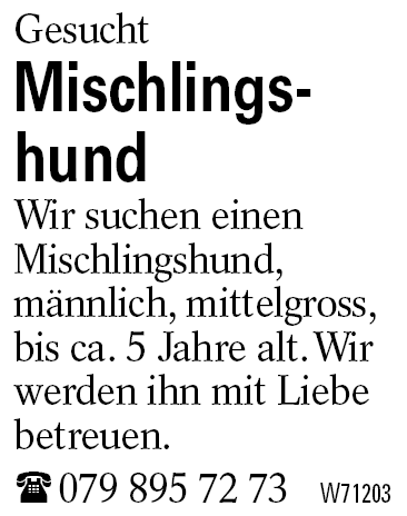 Mischlingshund