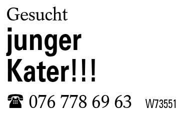 junger Kater!!!