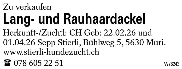 Lang- und Rauhaardackel