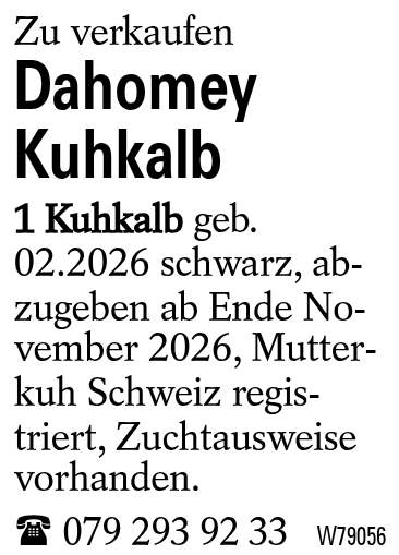Dahomey Kuhkalb