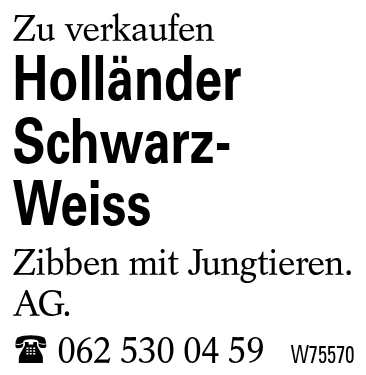 Holländer Schwarz-Weiss
