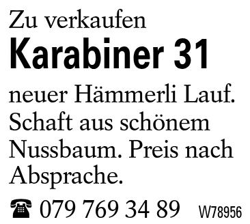Karabiner 31