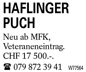 HAFLINGER PUCH