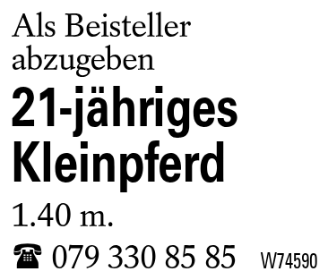 21-jähriges Kleinpferd