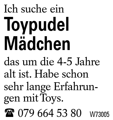Toypudel Mädchen