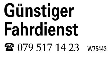 Günstiger Fahrdienst