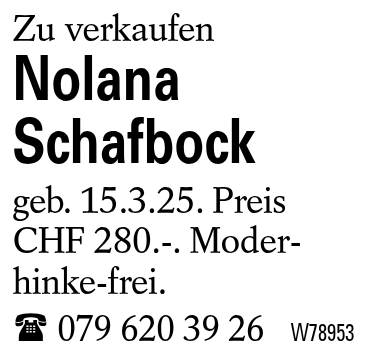 Nolana Schafbock
