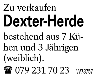 Dexter-Herde