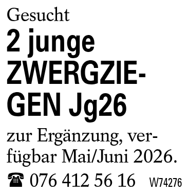 2 junge ZWERGZIEGEN Jg26