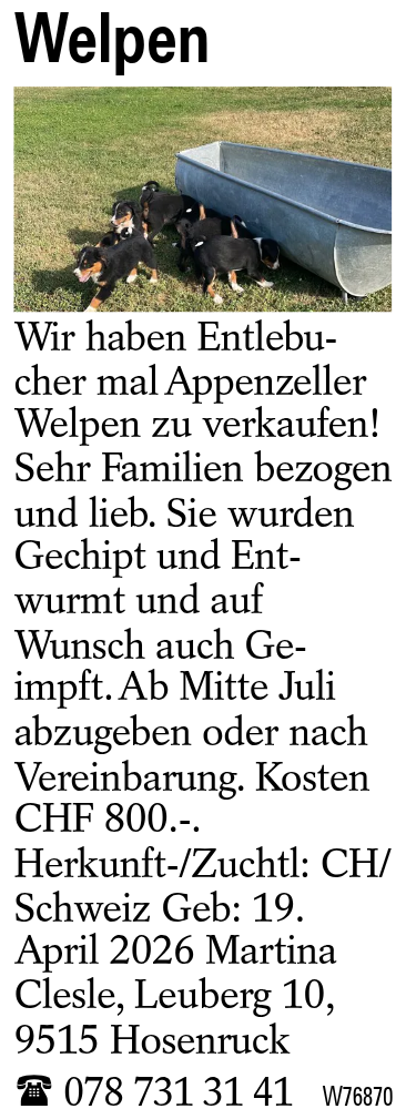 Welpen