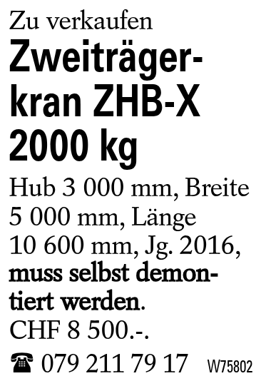 Zweiträgerkran ZHB-X                2000 kg