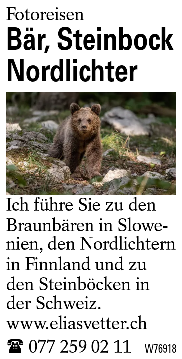 Bär, Steinbock Nordlichter
