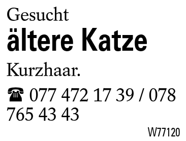 ältere Katze