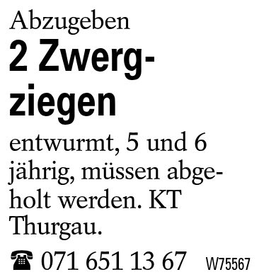 2 Zwerg-ziegen