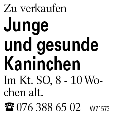 Junge             und gesunde Kaninchen