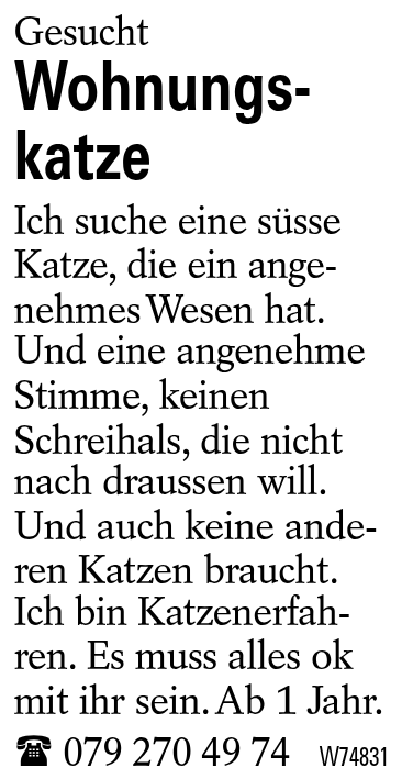 Wohnungskatze