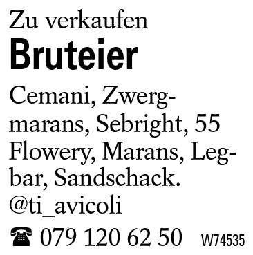 Bruteier