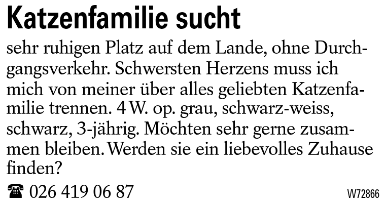 Katzenfamilie sucht