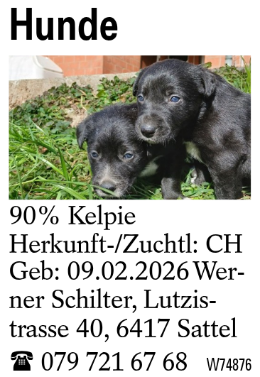 Hunde