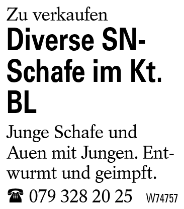 Diverse SN-Schafe im Kt. BL