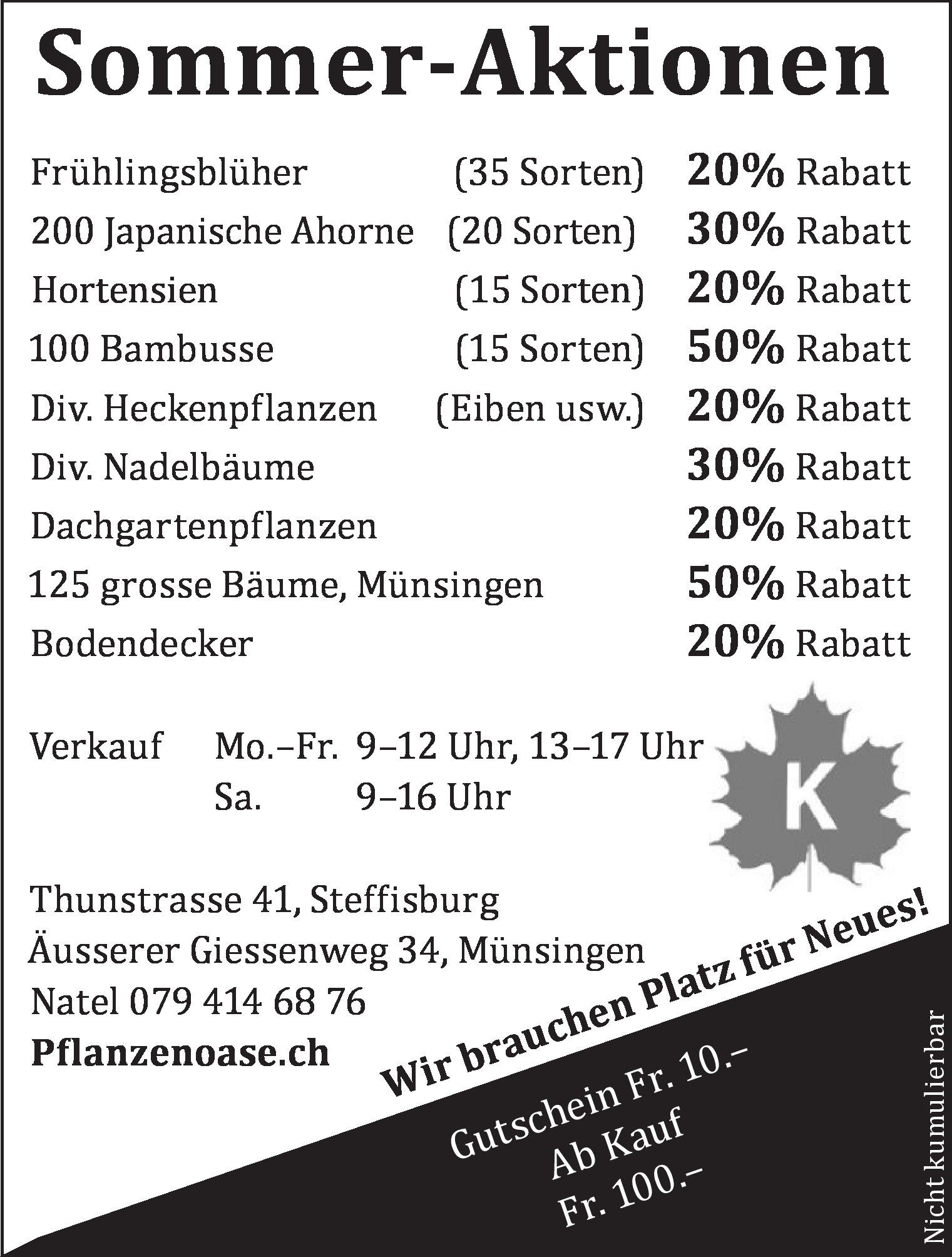 Sommer-Aktionen