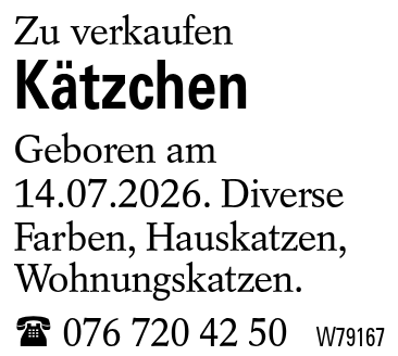 Kätzchen