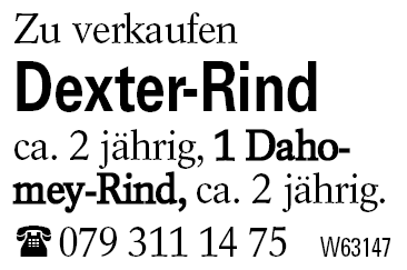 Dexter-Rind