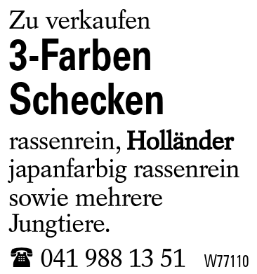 3-Farben Schecken
