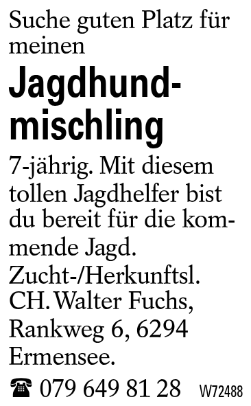 Jagdhundmischling
