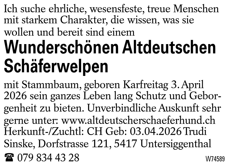Wunderschönen Altdeutschen Schäferwelpen