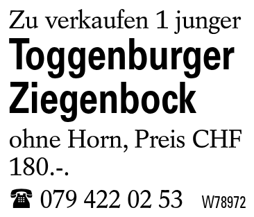 Toggenburger Ziegenbock