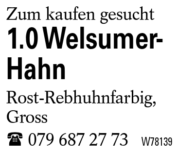 1.0 Welsumer- Hahn